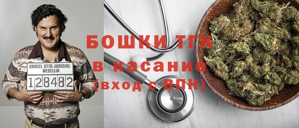 гидра Ельня