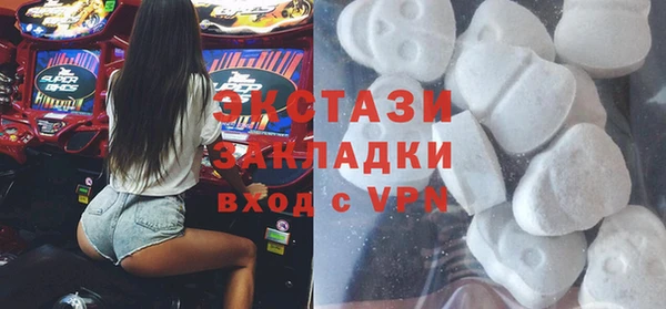 гидра Ельня