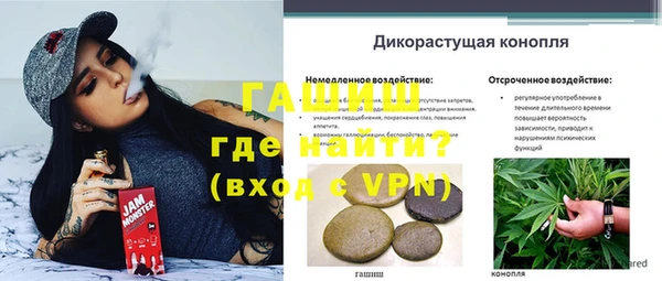 гидропоника Елизово