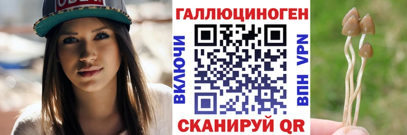 Купить где  Кашин  Псилоцибиновые грибы прущие грибы 